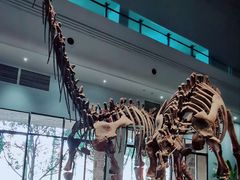 -自贡恐龙博物馆