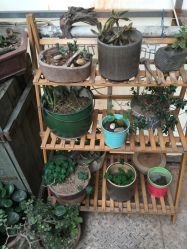 -绿皮火车照相馆 婚纱照旅拍(厦门店)