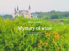 -北京张裕爱斐堡酒庄