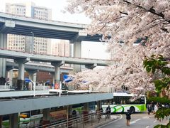 -上海南浦大桥长途旅游客运站