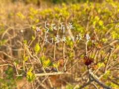 -太阳宫公园