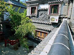 -老张烤羊(王哥庄店)