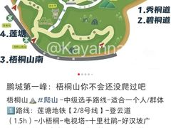 -梧桐山风景名胜区