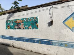 -翊宠yipet猫狗购宠庄园犬舍•猫舍