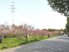 -上海海湾国家森林公园