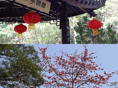 -竹子林(地铁站)