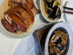 -凯鸽酒楼(操场城店)