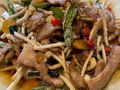 折耳根炒牛肉-张鲫鱼家常菜