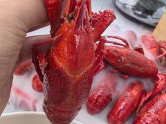 -侠舍·江湖小龙虾大排档(沌口总店)