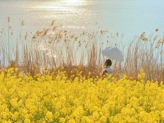 -云龙湖旅游景区