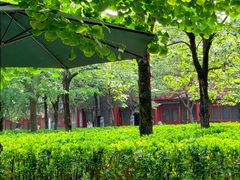 -北京石刻艺术博物馆(五塔寺)