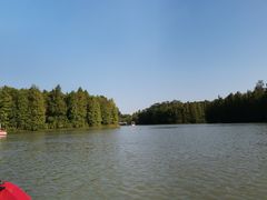 -上海海湾国家森林公园