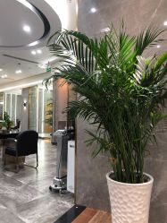 -名作·臻美Hair SaLon