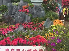 -南山植物园