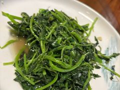 -小小饭店·休闲农庄·安吉松树林里的农家菜