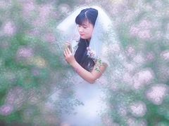 -长春公园(普阳街道)