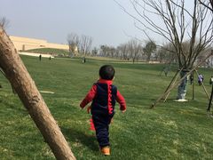 -盘龙城国家考古遗址公园