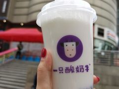 -一只酸奶牛(八一路店)