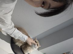 -琪喵猫屋·撸猫猫咖·猫舍