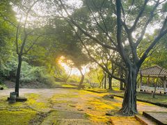 -大雁山风景区