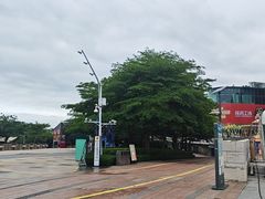 -华侨城湿地公园