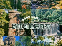 -汤旺河林海奇石景区