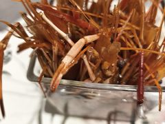-阿毛饭店·宁波老字号(儿童公园旗舰店)