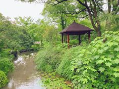 -杭州花家山庄