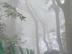 -灵顺寺