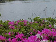 -尚湖风景区