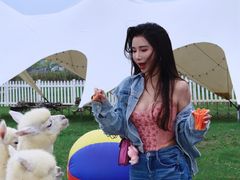 -枫林花海