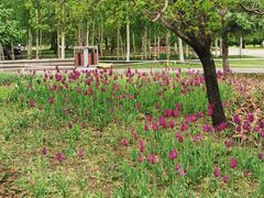 -长春公园(普阳街道)