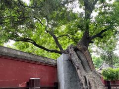 -天宁寺