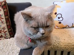 -小时光咖啡馆(北锣鼓巷店)