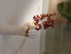 -澜德尔美学中心