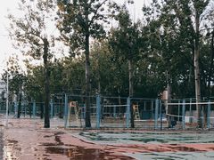 -中体一方网球培训(国家网球中心校区)