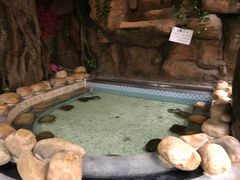-御池园(顾村公园店)
