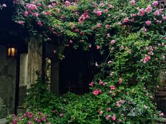 -惠山古镇·寄畅园