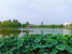 -西海子公园