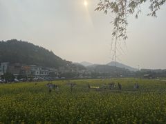 -红山村