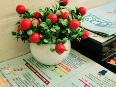 -仁华宠物医院(青羊店)