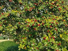 -杭州城北体育公园