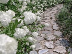 -上海滨江森林公园