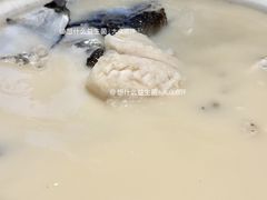 -丹江渔村(望京店)