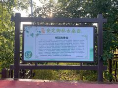 -御林古桑园