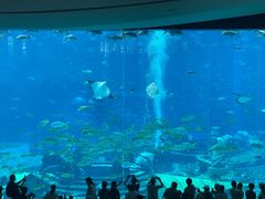 -亚特兰蒂斯•OSSIANO奥西亚诺海底餐厅