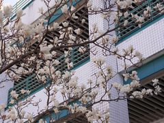 -浙江大学(紫金港校区)