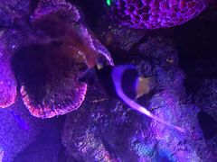 -沈阳海洋探索中心