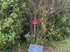 -厦门悦华酒店