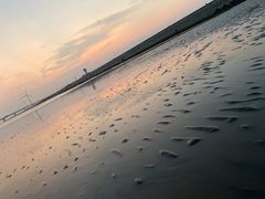 -南汇嘴观海公园